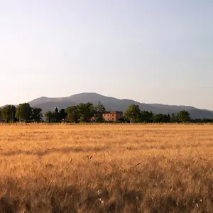 Il Pescinone Bauernhof Venturina Terme